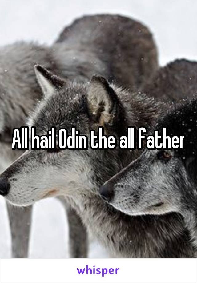 All hail Odin the all father