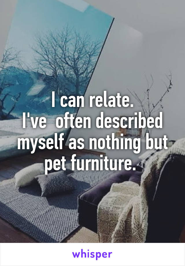 I can relate.
I've  often described myself as nothing but pet furniture. 