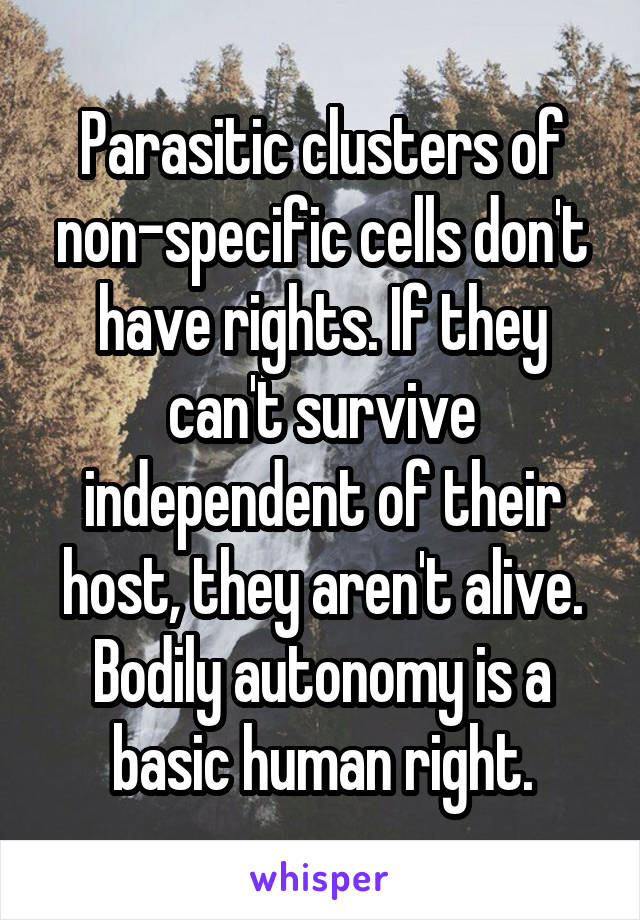 Parasitic clusters of non-specific cells don't have rights. If they can't survive independent of their host, they aren't alive. Bodily autonomy is a basic human right.