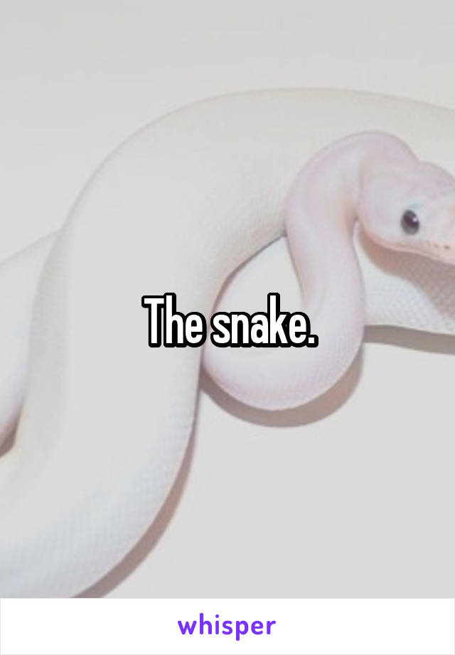 The snake.