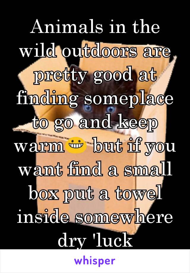 Animals in the wild outdoors are pretty good at finding someplace to go and keep warm😀 but if you want find a small box put a towel inside somewhere dry 'luck