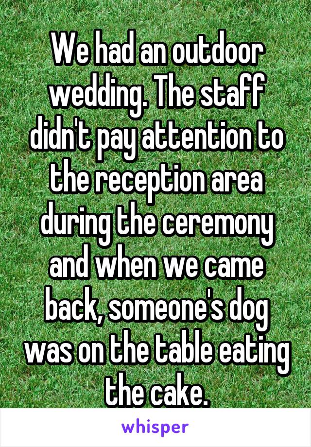 We had an outdoor wedding. The staff didn't pay attention to the reception area during the ceremony and when we came back, someone's dog was on the table eating the cake.