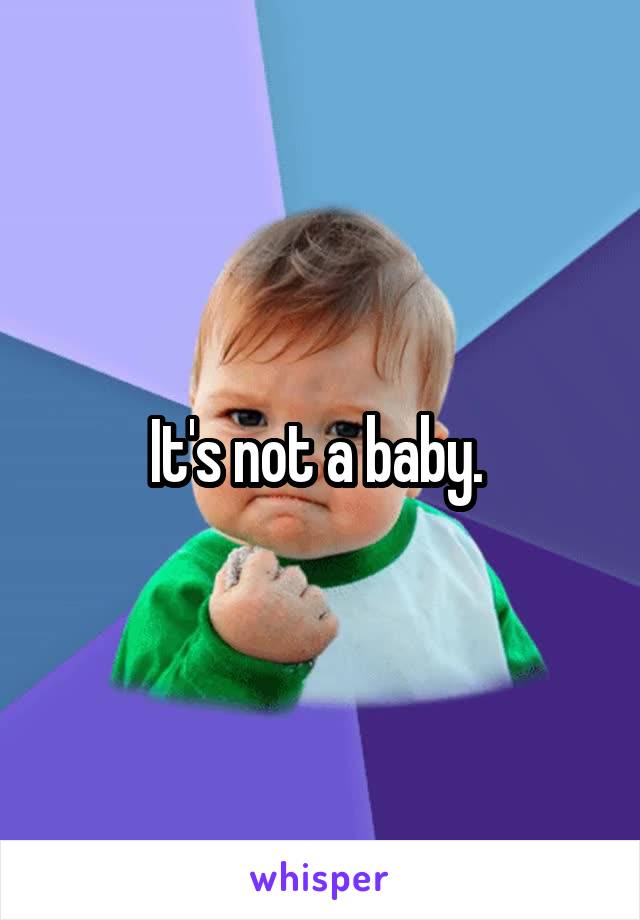 It's not a baby. 