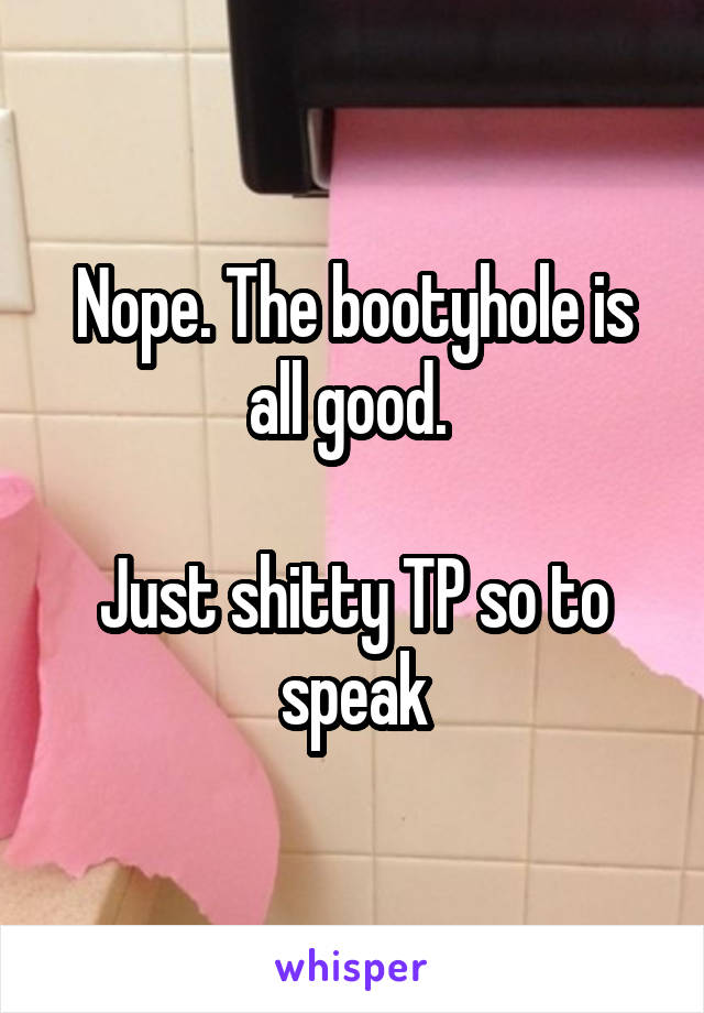 Nope. The bootyhole is all good. 

Just shitty TP so to speak