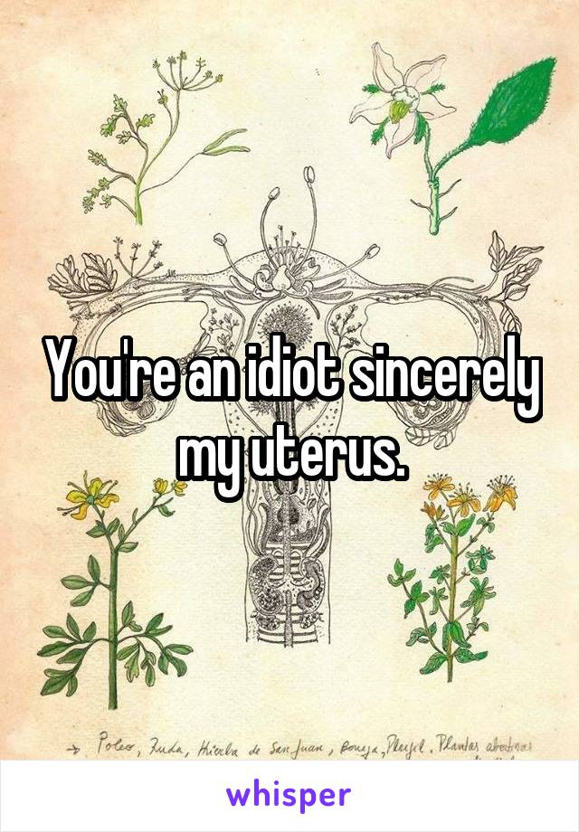 You're an idiot sincerely my uterus.