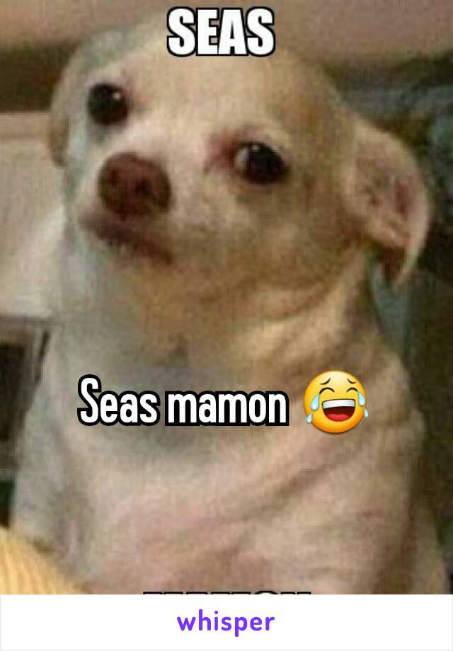Seas mamon 😂