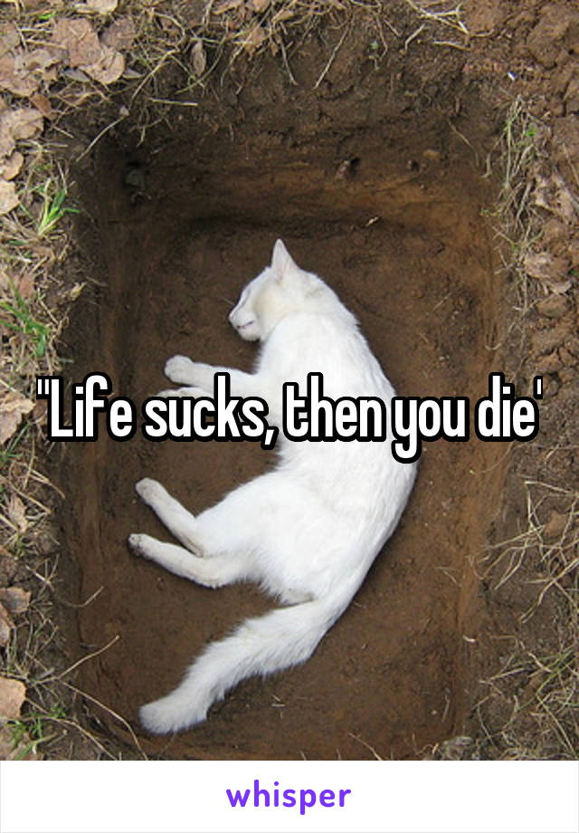 "Life sucks, then you die"