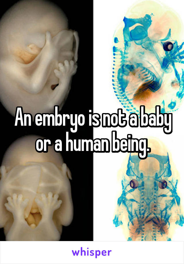 An embryo is not a baby or a human being.