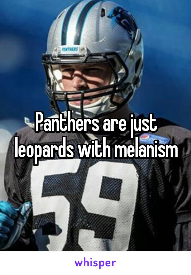 Panthers are just leopards with melanism