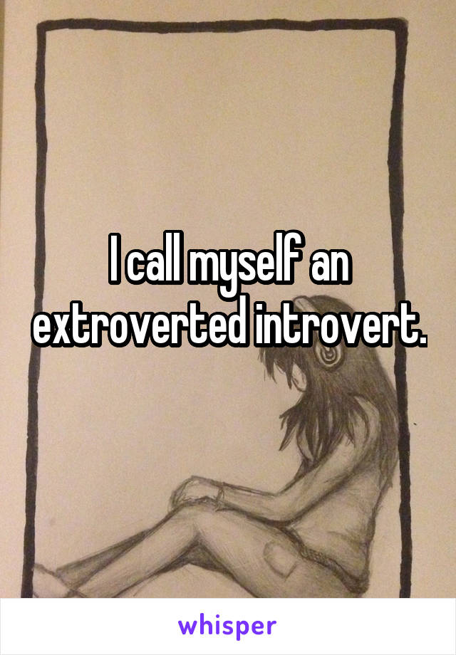 I call myself an extroverted introvert. 