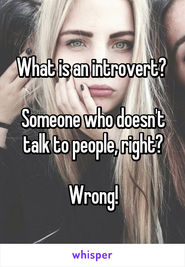 What is an introvert? 

Someone who doesn't talk to people, right?

Wrong!