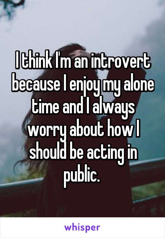 I think I'm an introvert because I enjoy my alone time and I always worry about how I should be acting in public. 