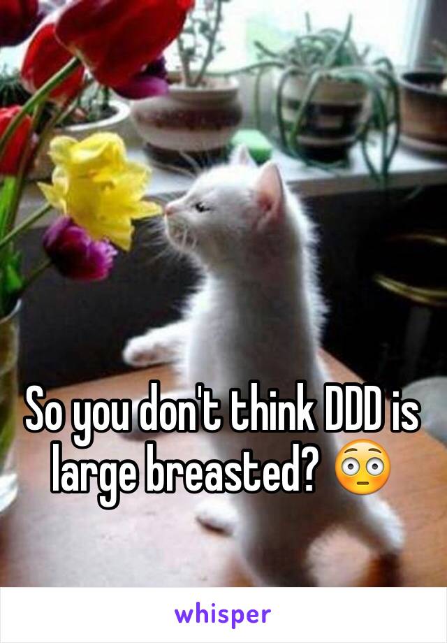 So you don't think DDD is large breasted? 😳