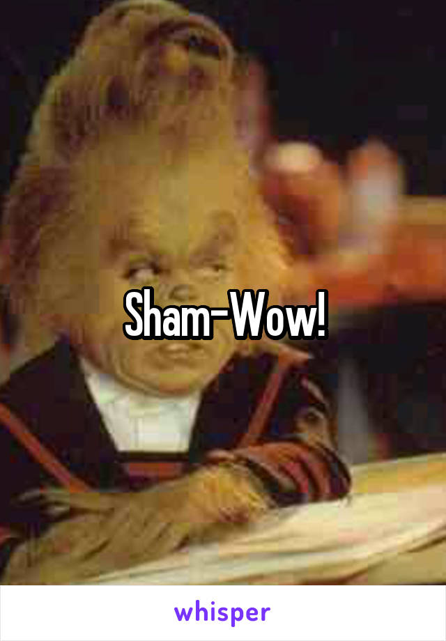 Sham-Wow!