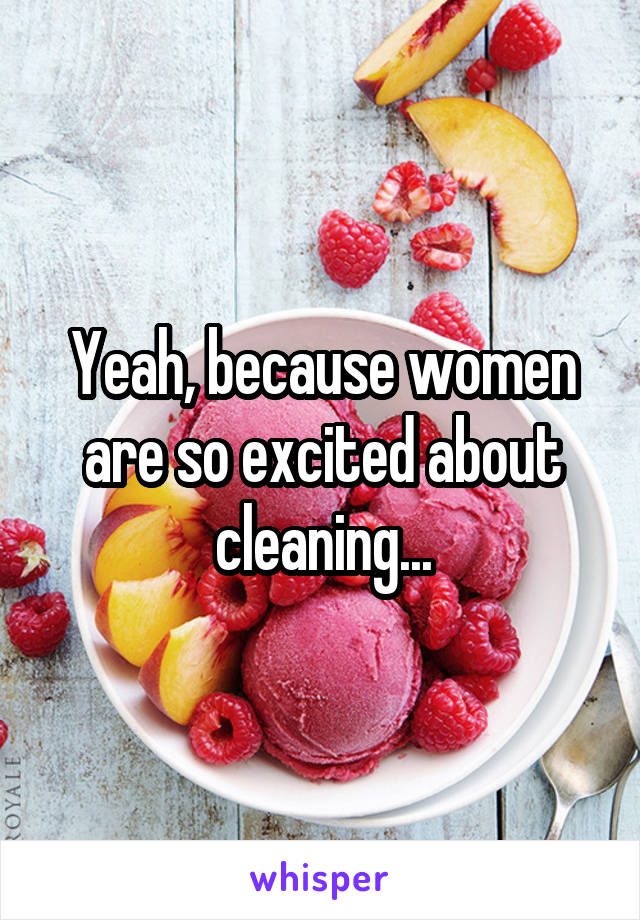 Yeah, because women are so excited about cleaning...