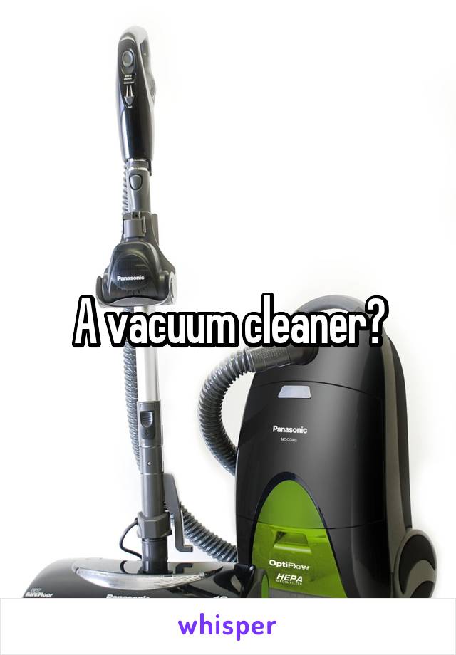 A vacuum cleaner?