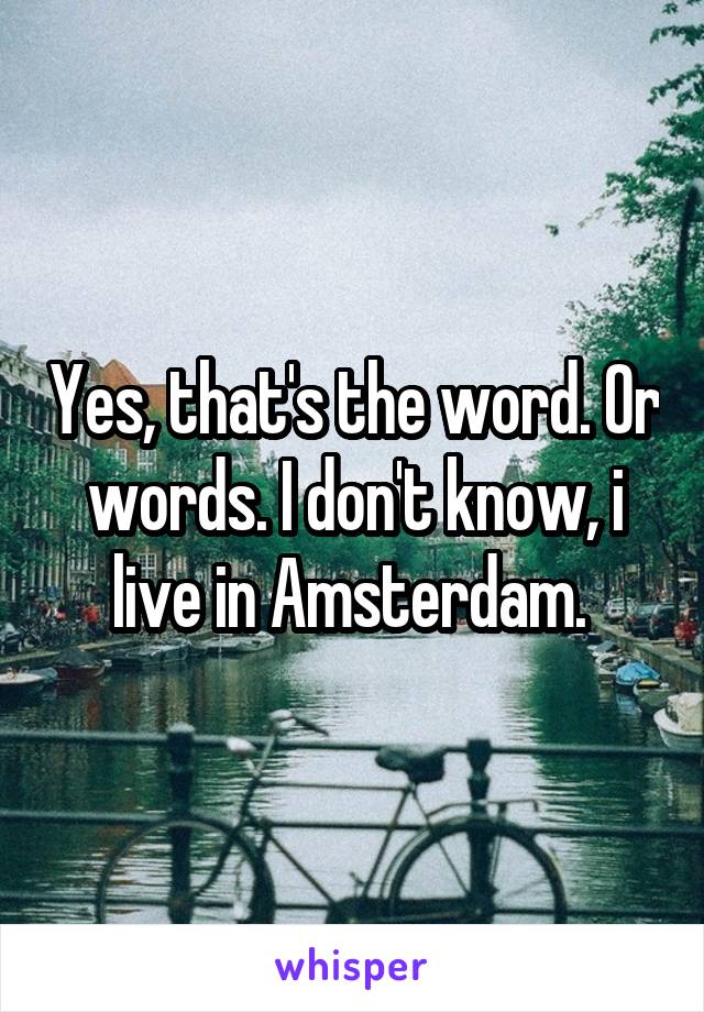 Yes, that's the word. Or words. I don't know, i live in Amsterdam. 