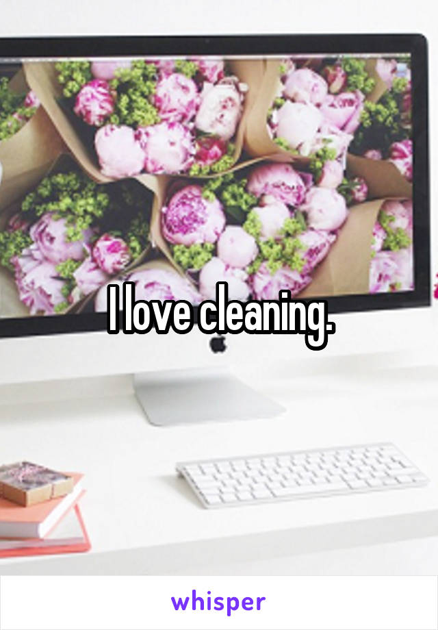 I love cleaning.