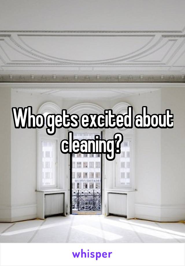 Who gets excited about cleaning? 