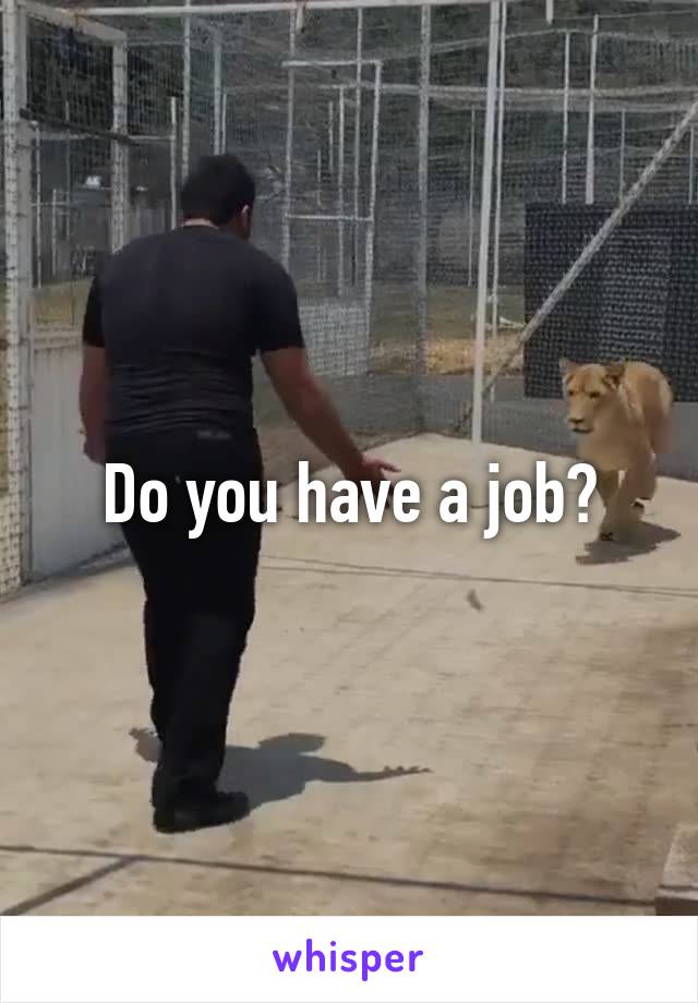 Do you have a job?