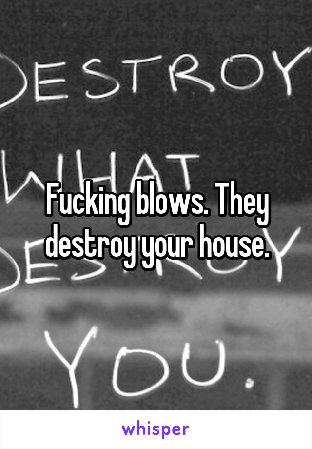 Fucking blows. They destroy your house.