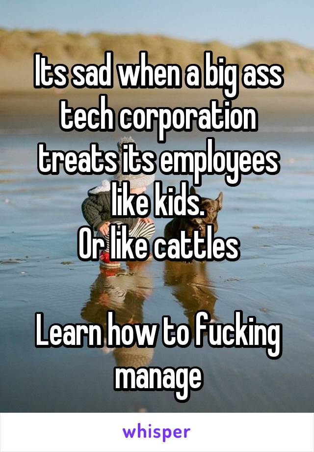 Its sad when a big ass tech corporation treats its employees like kids.
Or like cattles

Learn how to fucking manage