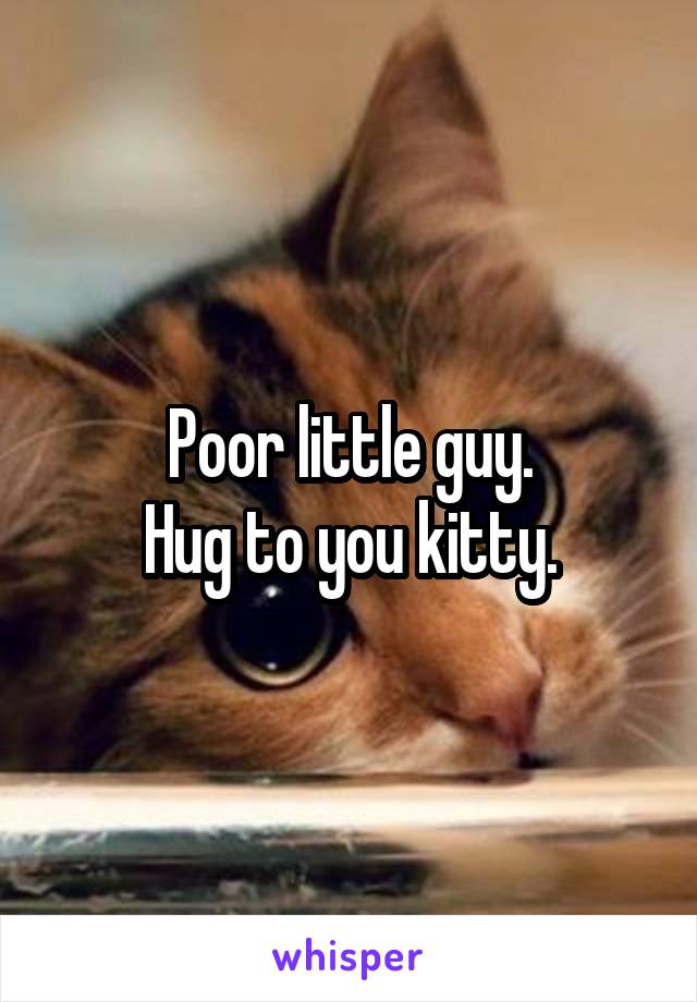 Poor little guy.
Hug to you kitty.