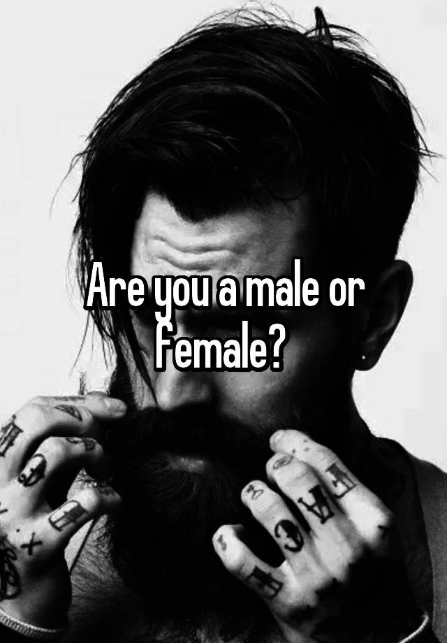 are-you-a-male-or-female