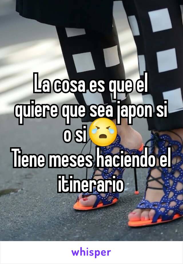 La cosa es que el quiere que sea japon si o si😭
Tiene meses haciendo el itinerario