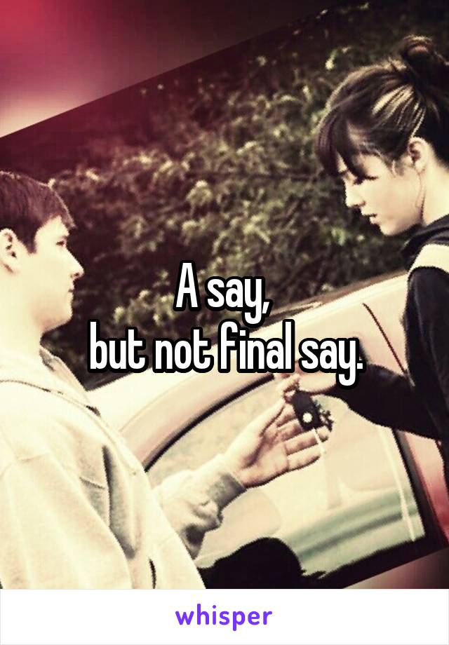 A say, 
but not final say.