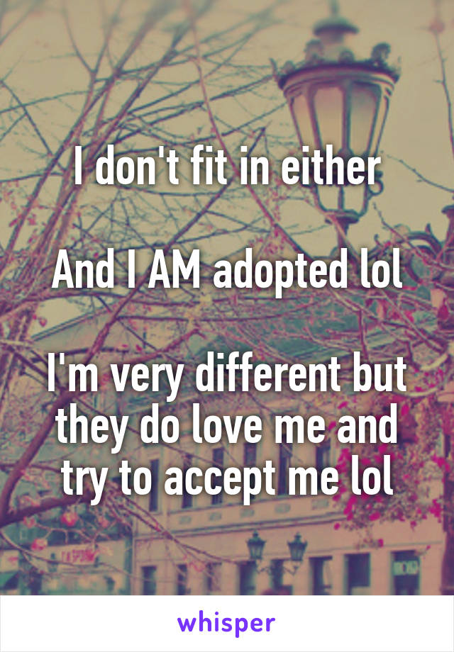 I don't fit in either

And I AM adopted lol

I'm very different but they do love me and try to accept me lol