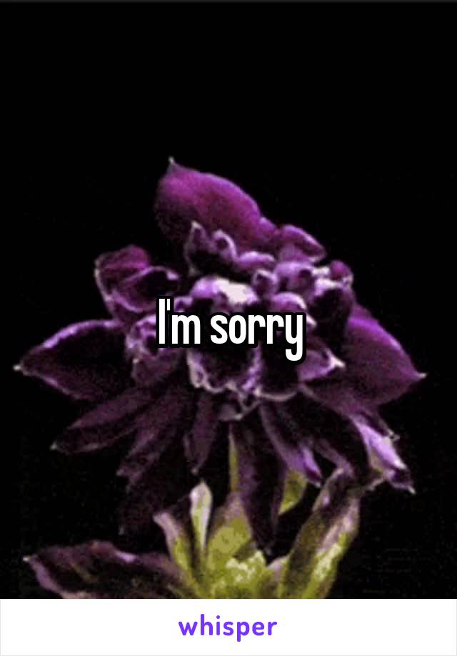 I'm sorry