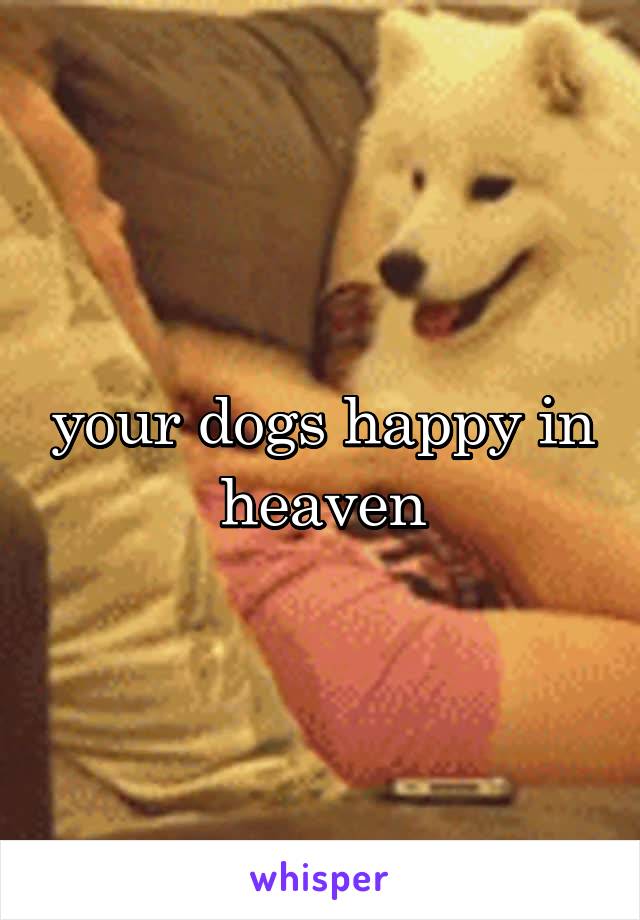 your dogs happy in heaven