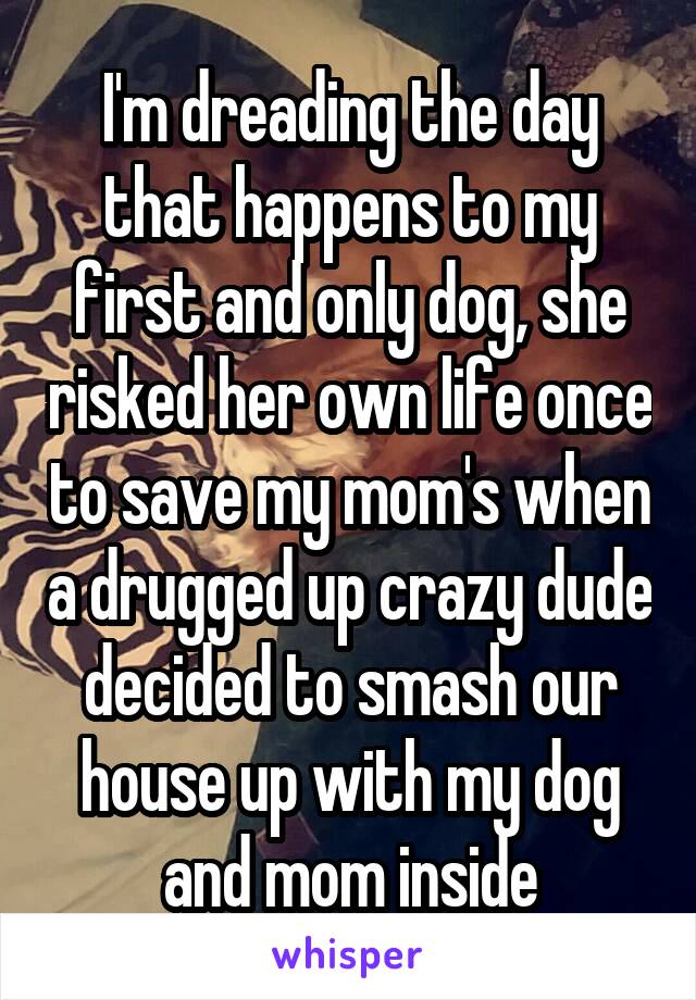 I'm dreading the day that happens to my first and only dog, she risked her own life once to save my mom's when a drugged up crazy dude decided to smash our house up with my dog and mom inside