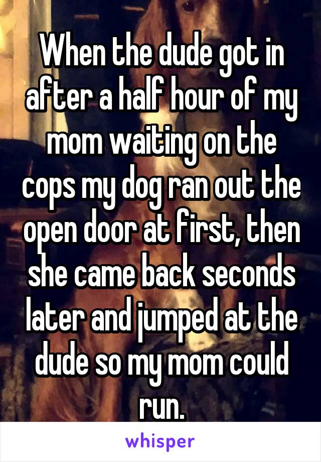 When the dude got in after a half hour of my mom waiting on the cops my dog ran out the open door at first, then she came back seconds later and jumped at the dude so my mom could run.