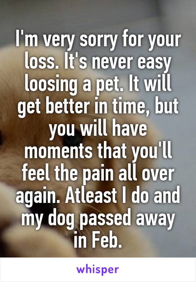 I'm very sorry for your loss. It's never easy loosing a pet. It will get better in time, but you will have moments that you'll feel the pain all over again. Atleast I do and my dog passed away in Feb.