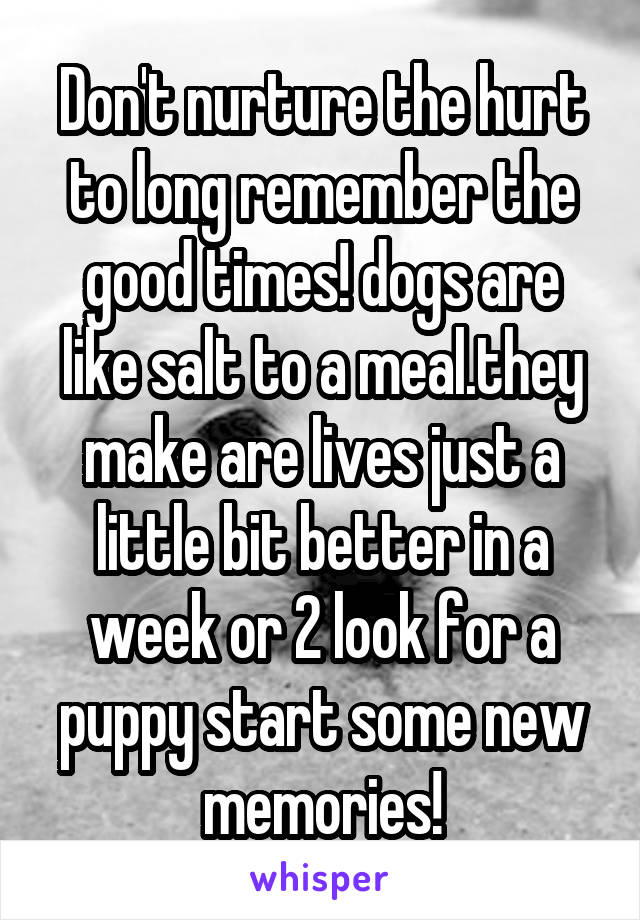 Don't nurture the hurt to long remember the good times! dogs are like salt to a meal.they make are lives just a little bit better in a week or 2 look for a puppy start some new memories!