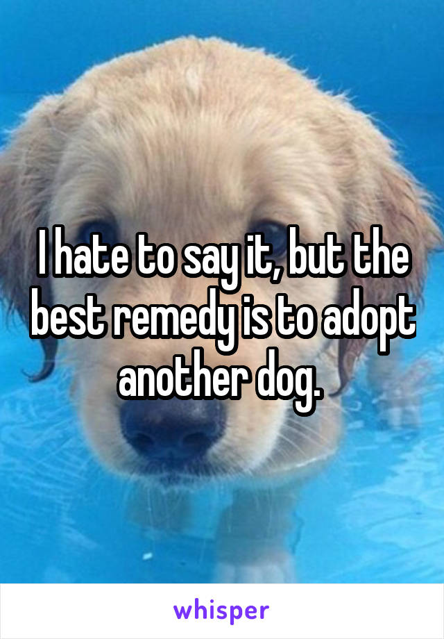 I hate to say it, but the best remedy is to adopt another dog. 