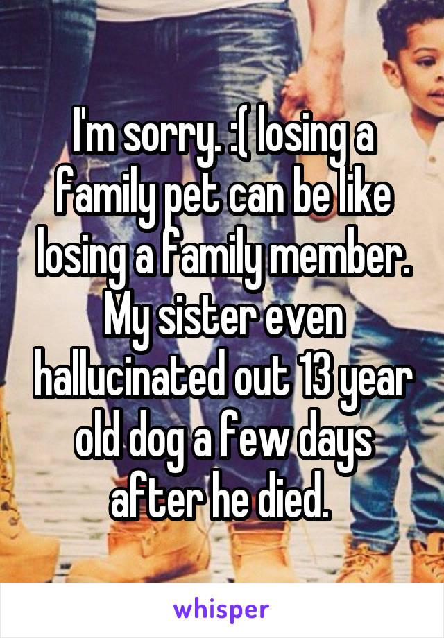 I'm sorry. :( losing a family pet can be like losing a family member. My sister even hallucinated out 13 year old dog a few days after he died. 