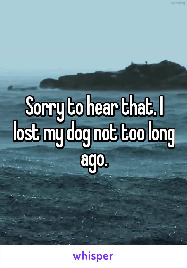 Sorry to hear that. I lost my dog not too long ago.