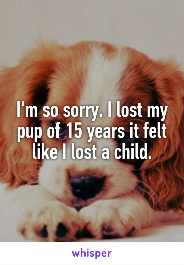 I'm so sorry. I lost my pup of 15 years it felt like I lost a child.