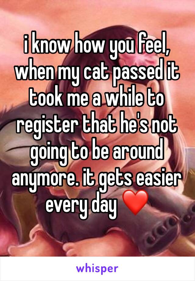 i know how you feel, when my cat passed it took me a while to register that he's not going to be around anymore. it gets easier every day ❤️