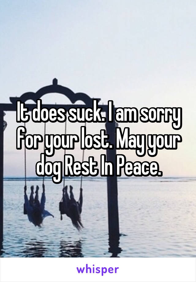 It does suck. I am sorry for your lost. May your dog Rest In Peace.