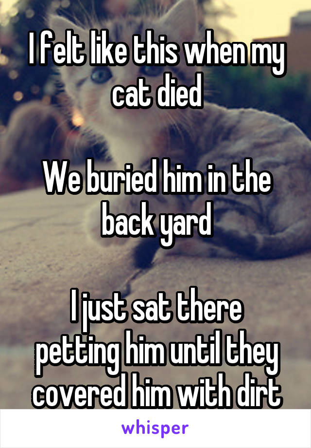 I felt like this when my cat died

We buried him in the back yard

I just sat there petting him until they covered him with dirt