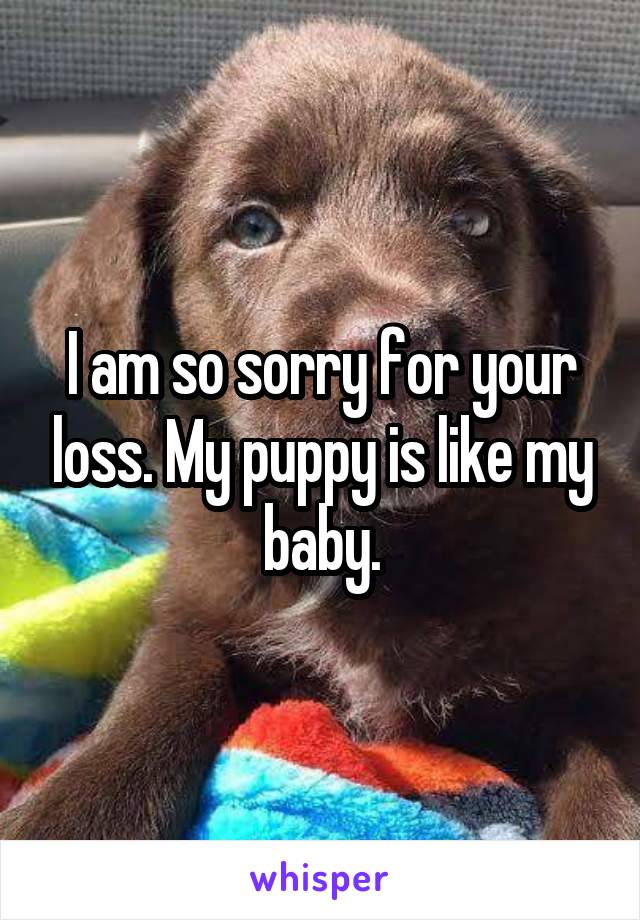 I am so sorry for your loss. My puppy is like my baby.