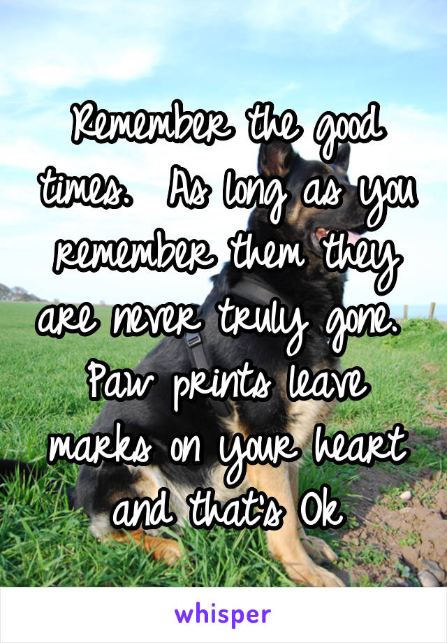 Remember the good times.  As long as you remember them they are never truly gone.  Paw prints leave marks on your heart and that's Ok