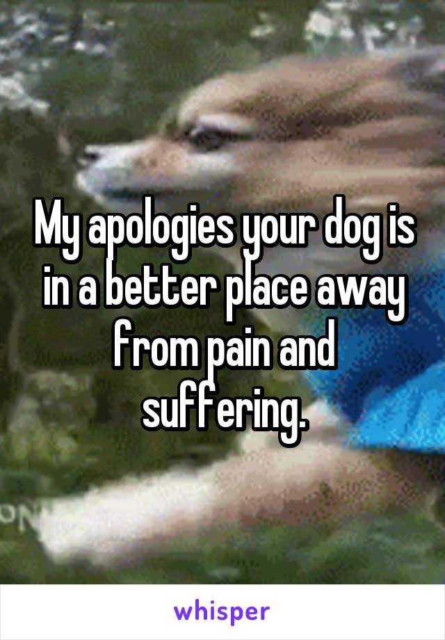 My apologies your dog is in a better place away from pain and suffering.