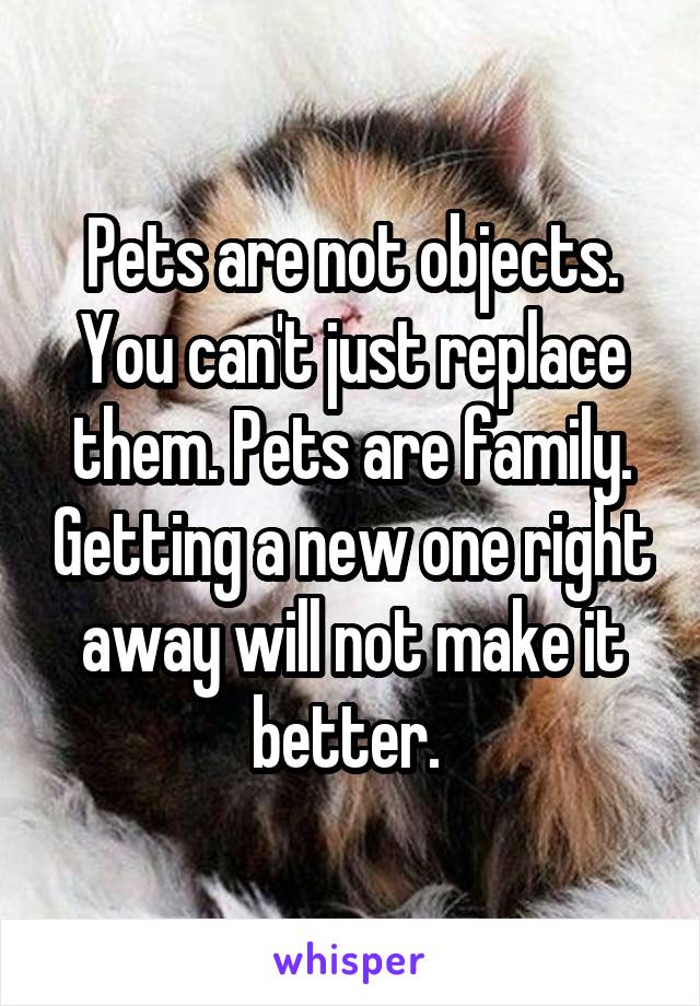 Pets are not objects. You can't just replace them. Pets are family. Getting a new one right away will not make it better. 