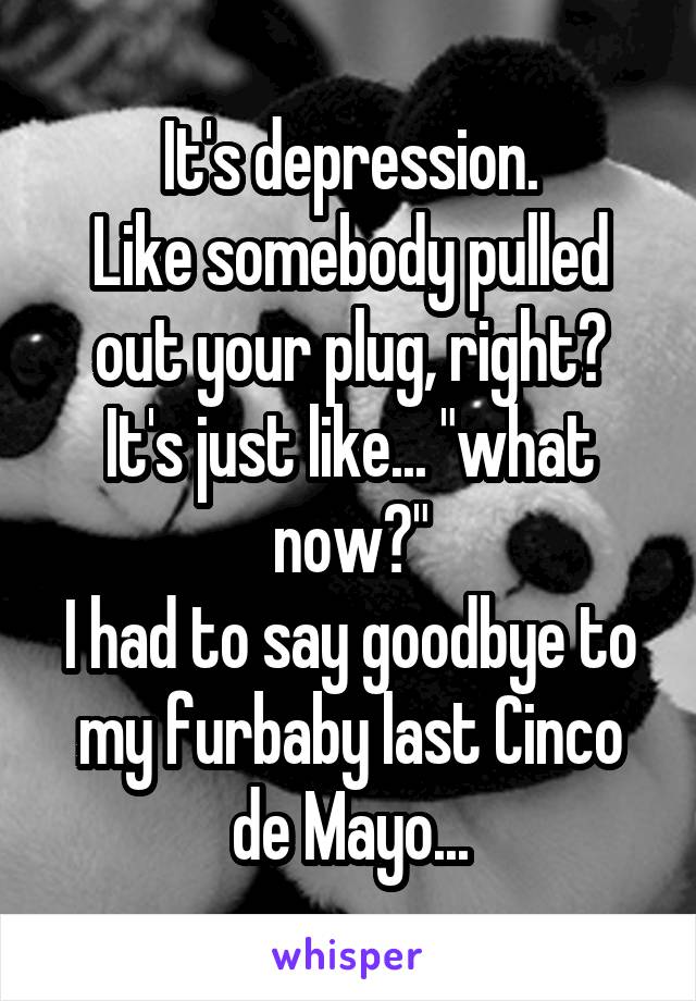 It's depression.
Like somebody pulled out your plug, right?
It's just like... "what now?"
I had to say goodbye to my furbaby last Cinco de Mayo...