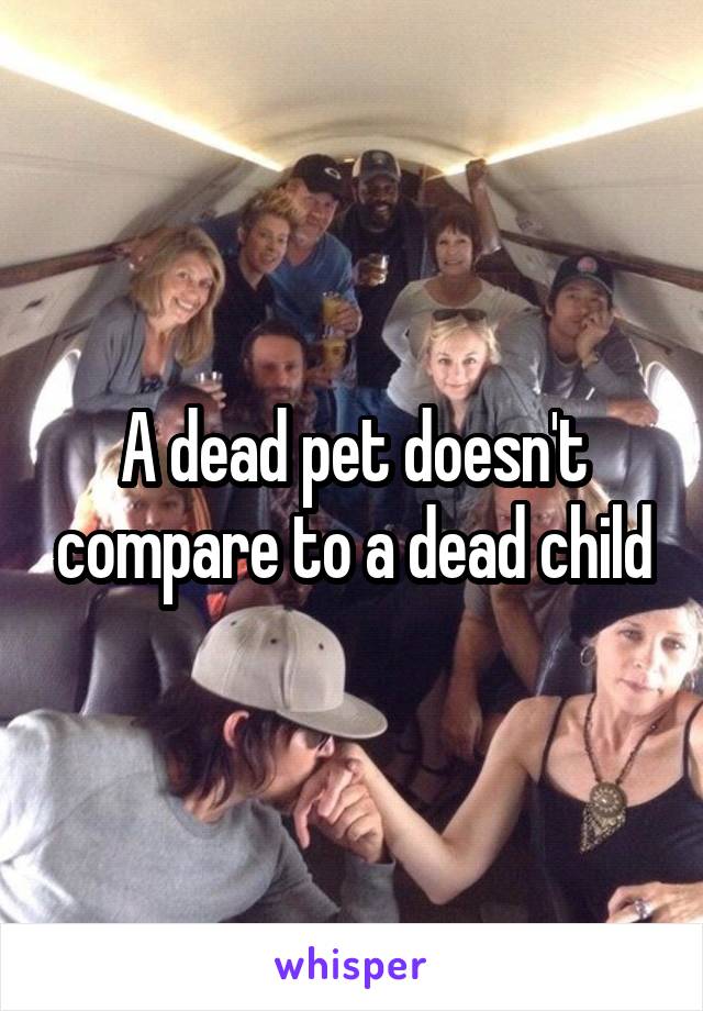 A dead pet doesn't compare to a dead child